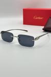 Cartier Gümüş İthal Unisex Gözlük G3805-VLL