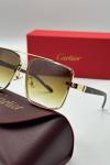 Cartier İthal Erkek Güneş Gözlüğü G3376-VLLZ