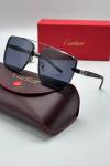 Cartier İthal Erkek Güneş Gözlüğü G3377-VLLZ