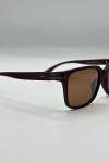 Cartier Polarized Kahverengi İthal Erkek Gözlük G4647-ILY