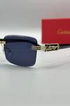 Cartier Siyah İthal Unisex Gözlük G4162-VLL