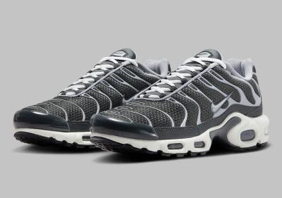 Nike Air Max Plus Cool Grey Illuminates  A113