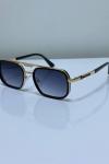 Prada Gold Çerçeve Füme Cam İthal Unisex Gözlük G4361-VLL