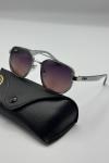 Rayban Polarize Mürdüm İthal Erkek Gözlük G4653-VLL
