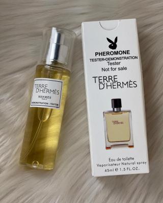 Terre DHermès Edt Çanta Boy Erkek Parfüm  PC1