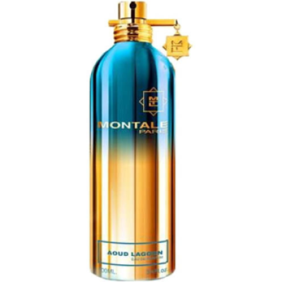 Montale Aoud Lagoon Edp 100Ml Unisex Parfüm Unisex Diğer