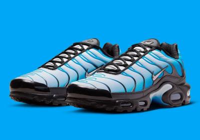 Nike Air Max Plus TN Blue Gradient A104 Diğer