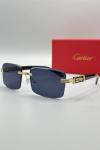 Cartier İthal Erkek Güneş Gözlük G3845-VLL Siyah