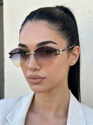 Celine Degrage  İthal Kadın Gözlük G4522-ILY Diğer
