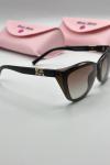 Miu Miu Cat Eye Kahverengi İthal Kadın Gözlük G4837-DB